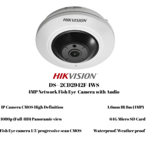 HikVision DS-2CD2942F-IS 